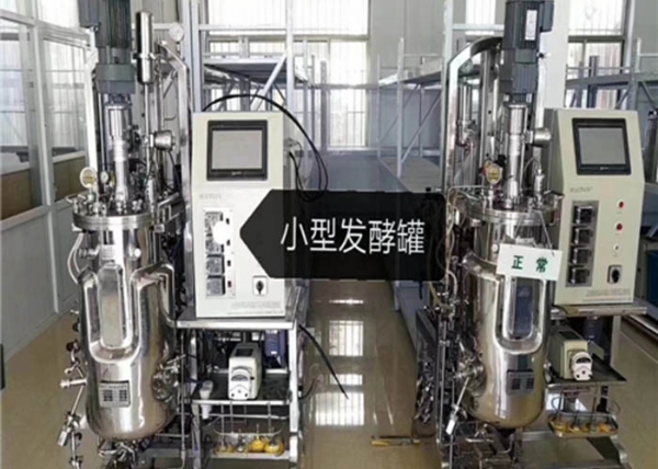 發(fā)酵罐的發(fā)酵過(guò)程有哪些操作要點(diǎn)呢？